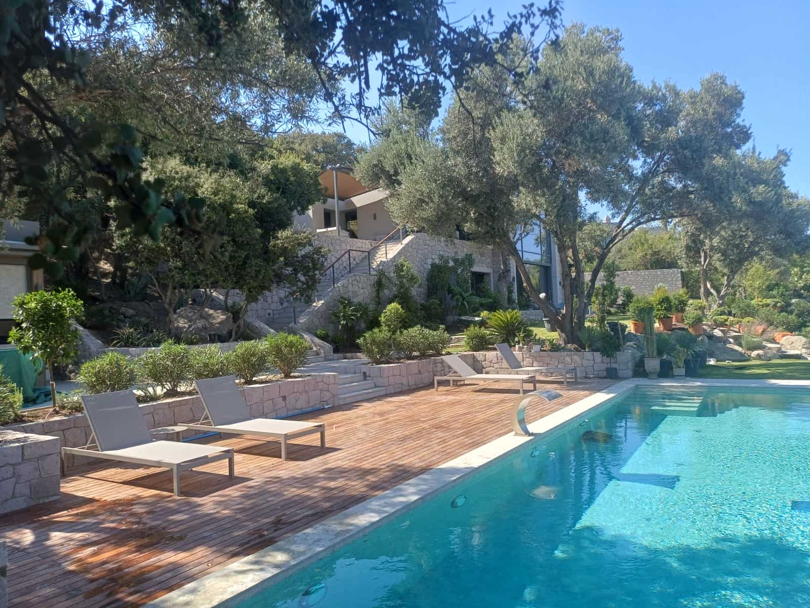 Müskebi Taşev - Görsel 9